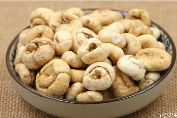 什么是大貝母呢 大貝母有什么藥用價值呢 什么是大貝母呢 大貝母有什么藥用價值呢