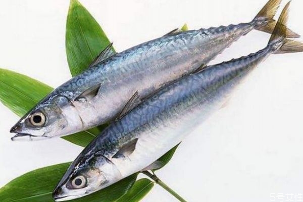 鰱魚有什么營(yíng)養(yǎng)價(jià)值呢 吃鰱魚有什么好處呢 鰱魚有什么營(yíng)養(yǎng)價(jià)值呢 吃鰱魚有什么好處呢
