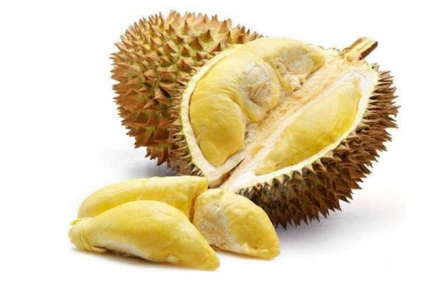 榴蓮吃多了是不是會(huì)變胖呢 榴蓮的熱量高嗎 榴蓮吃多了是不是會(huì)變胖呢 榴蓮的熱量高嗎