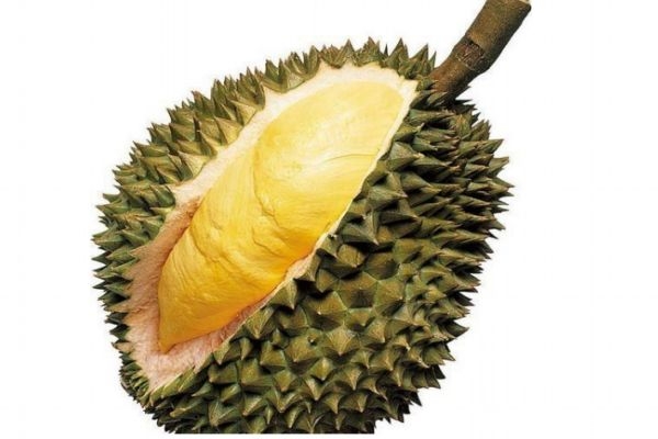 榴蓮吃多了是不是會(huì)變胖呢 榴蓮的熱量高嗎 榴蓮吃多了是不是會(huì)變胖呢 榴蓮的熱量高嗎