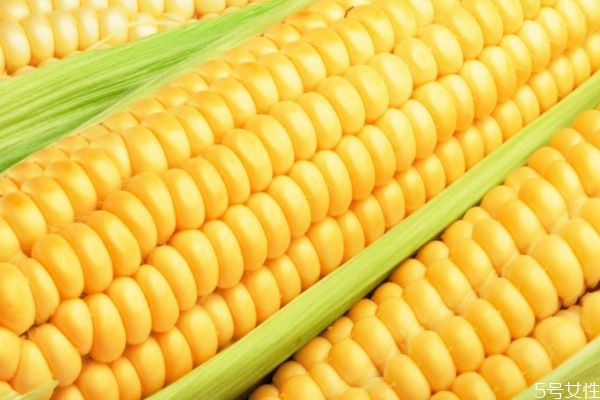 如何區(qū)分老玉米和新玉米 如何挑選玉米呢 如何區(qū)分老玉米和新玉米 如何挑選玉米呢