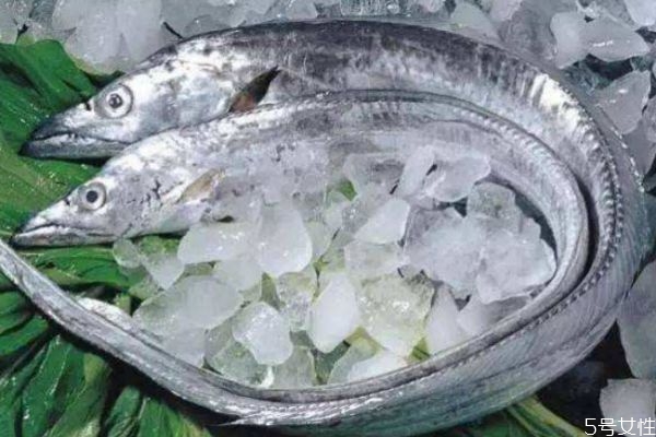 帶魚生長在什么環(huán)境里呢 帶魚的熱量有多少呢 帶魚生長在什么環(huán)境里呢 帶魚的熱量有多少呢