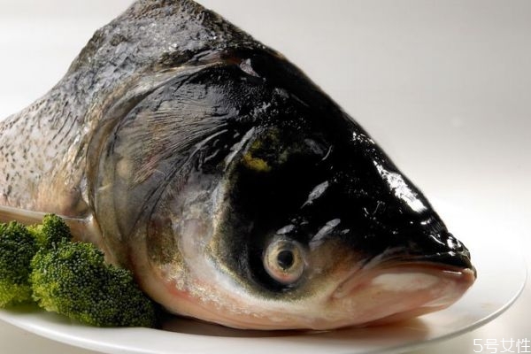 鳙魚有什么營(yíng)養(yǎng)價(jià)值呢 鳙魚怎么做好吃呢 鳙魚有什么營(yíng)養(yǎng)價(jià)值呢 鳙魚怎么做好吃呢