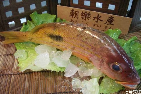 什么是鱒魚呢 鱒魚有什么營(yíng)養(yǎng)價(jià)值呢 什么是鱒魚呢 鱒魚有什么營(yíng)養(yǎng)價(jià)值呢