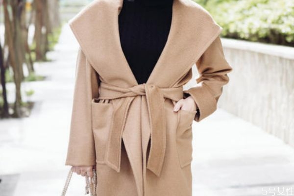 駱駝毛衣服有什么優(yōu)點(diǎn)呢 駱駝毛應(yīng)該怎么清洗呢 駱駝毛衣服有什么優(yōu)點(diǎn)呢 駱駝毛應(yīng)該怎么清洗呢