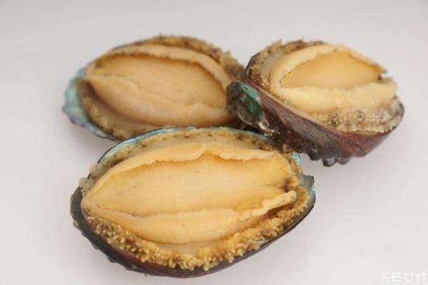 鮑魚一般都是幾頭的呢 鮑魚有什么益處呢 鮑魚一般都是幾頭的呢 鮑魚有什么益處呢