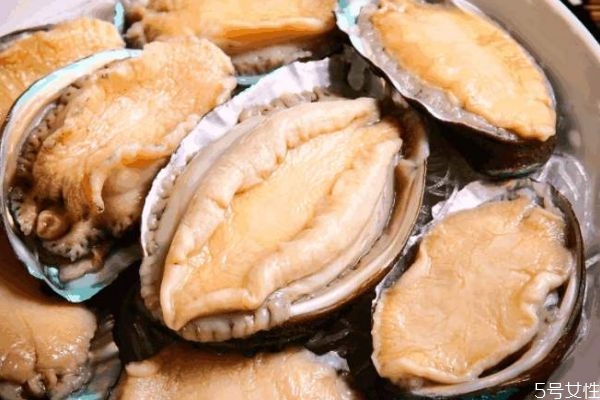 鮑魚的生長(zhǎng)環(huán)境是怎么樣的呢 鮑魚好吃嗎 鮑魚的生長(zhǎng)環(huán)境是怎么樣的呢 鮑魚好吃嗎