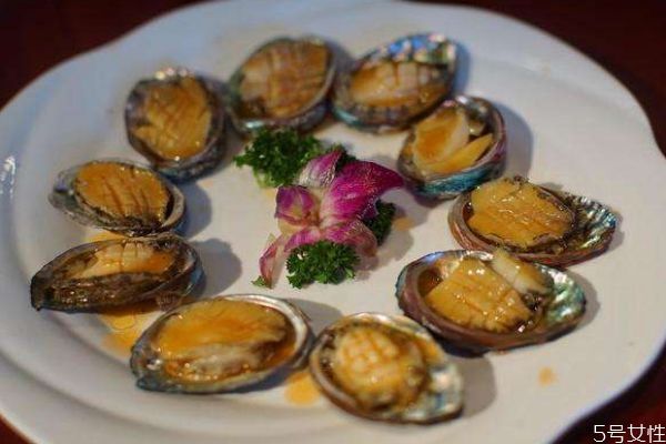 鮑魚的生長(zhǎng)環(huán)境是怎么樣的呢 鮑魚好吃嗎 鮑魚的生長(zhǎng)環(huán)境是怎么樣的呢 鮑魚好吃嗎