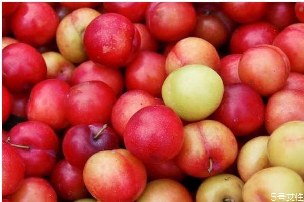 李子的營(yíng)養(yǎng)價(jià)值有什么呢 吃李子有什么好處呢 李子的營(yíng)養(yǎng)價(jià)值有什么呢 吃李子有什么好處呢