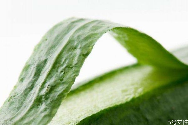 黃瓜皮有什么營養(yǎng)價值呢 吃黃瓜皮有什么好處呢 黃瓜皮有什么營養(yǎng)價值呢 吃黃瓜皮有什么好處呢