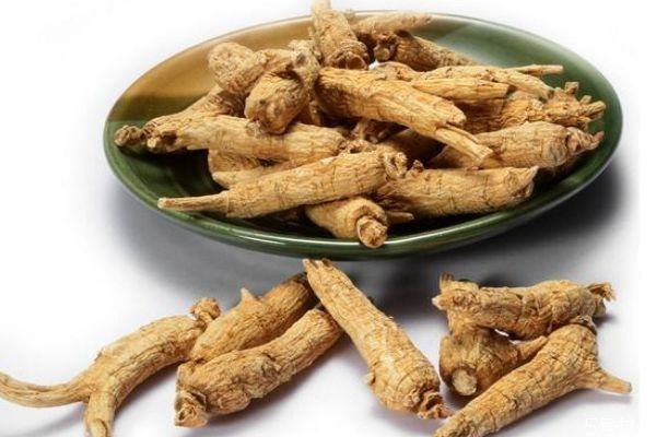 什么是西洋參呢 西洋參有什么作用呢 什么是西洋參呢 西洋參有什么作用呢