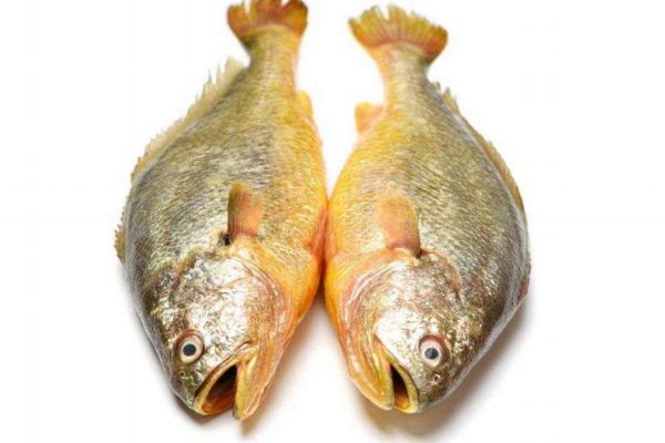 魚眼睛有什么營養(yǎng)價(jià)值呢 吃魚眼睛對人眼有好處嗎