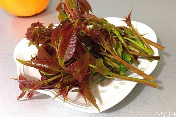 什么是香椿頭呢 香椿頭有什么營(yíng)養(yǎng)價(jià)值呢 什么是香椿頭呢 香椿頭有什么營(yíng)養(yǎng)價(jià)值呢