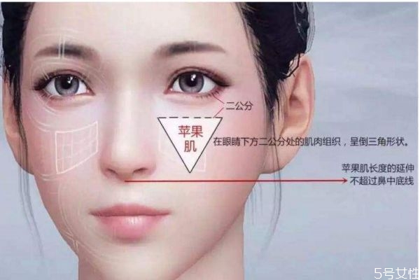 如何擁有蘋果肌呢 蘋果肌都是天生的嗎 如何擁有蘋果肌呢 蘋果肌都是天生的嗎