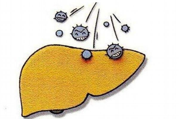 丁型肝炎可以預(yù)防嗎 丁型肝炎的治療方法有什么呢 丁型肝炎可以預(yù)防嗎 丁型肝炎的治療方法有什么呢