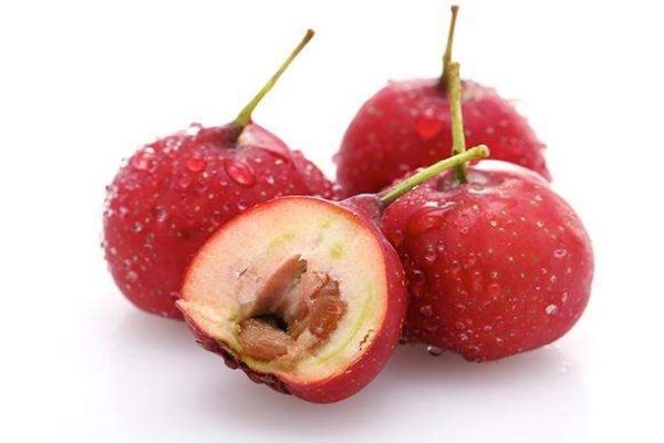 山楂一般幾月份成熟呢 山楂的市場價格是多少呢 山楂一般幾月份成熟呢 山楂的市場價格是多少呢