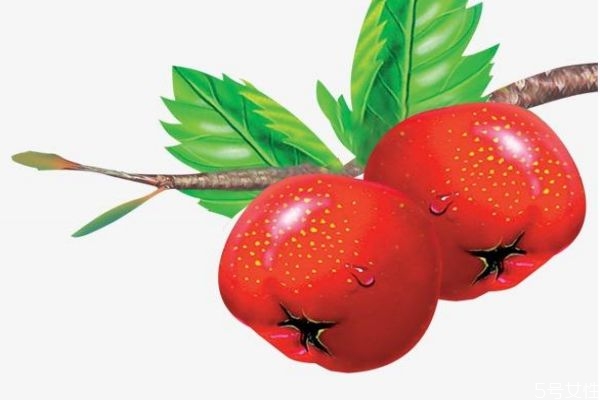 山楂一般幾月份成熟呢 山楂的市場價格是多少呢 山楂一般幾月份成熟呢 山楂的市場價格是多少呢