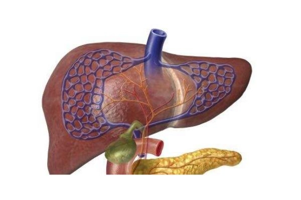 什么是肝癌呢 肝癌有什么癥狀呢 什么是肝癌呢 肝癌有什么癥狀呢