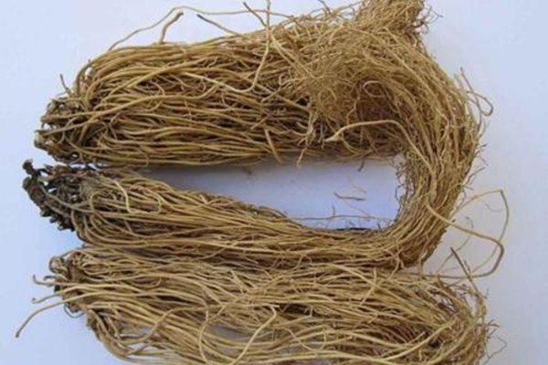 細辛是什么 細辛的審理特性是什么 細辛是什么 細辛的審理特性是什么