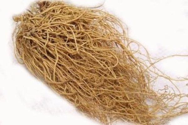 細辛是什么 細辛的審理特性是什么 細辛是什么 細辛的審理特性是什么