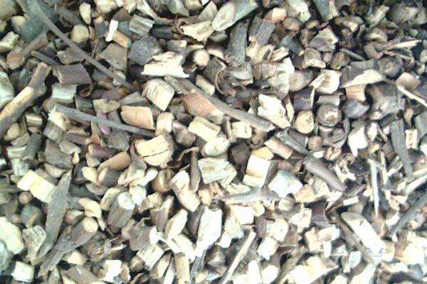 桂枝是什么 桂枝的相關(guān)配伍有哪些 桂枝是什么 桂枝的相關(guān)配伍有哪些