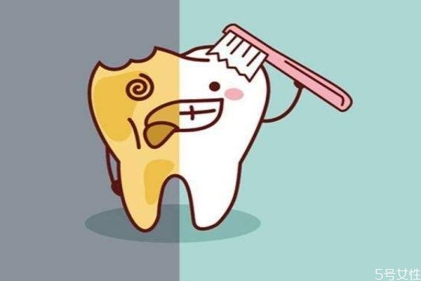 什么是蟲牙呢 蟲牙是怎么造成的呢 什么是蟲牙呢 蟲牙是怎么造成的呢