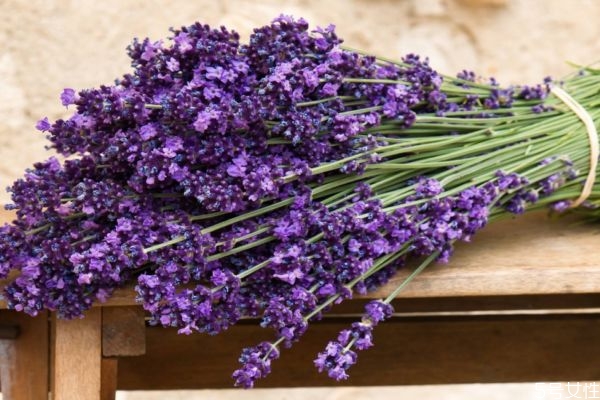 什么花的香味可以安神呢 薰衣草的香味有什么用呢 什么花的香味可以安神呢 薰衣草的香味有什么用呢