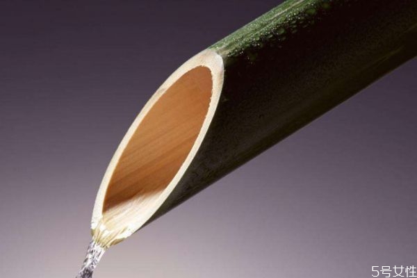 竹子可以吃嗎 竹子有什么營養(yǎng)價值呢 竹子可以吃嗎 竹子有什么營養(yǎng)價值呢