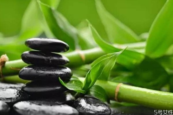 竹子可以吃嗎 竹子有什么營養(yǎng)價值呢 竹子可以吃嗎 竹子有什么營養(yǎng)價值呢