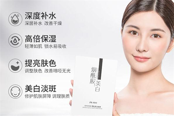 資萊皙煙酰胺面膜價格 資萊皙煙酰胺面膜正品多少錢 資萊皙煙酰胺面膜價格 資萊皙煙酰胺面膜正品多少錢