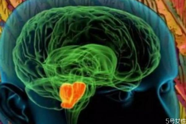 愛情是多巴胺的產物嗎 多巴胺是怎么產生的呢