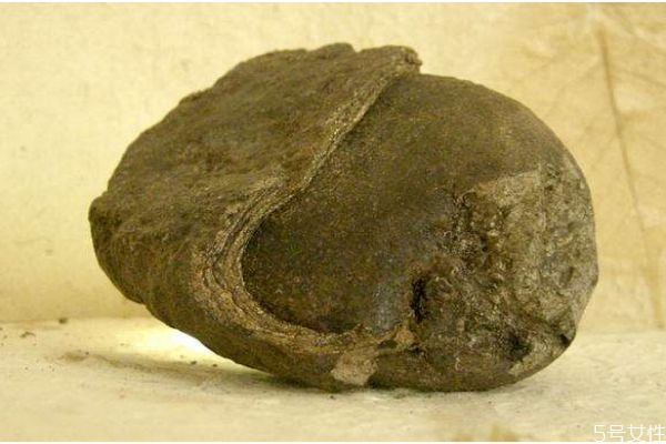 什么是龍涎香呢 龍涎香有什么作用呢 什么是龍涎香呢 龍涎香有什么作用呢