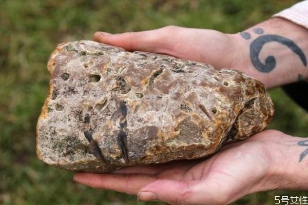 什么是龍涎香呢 龍涎香有什么作用呢 什么是龍涎香呢 龍涎香有什么作用呢