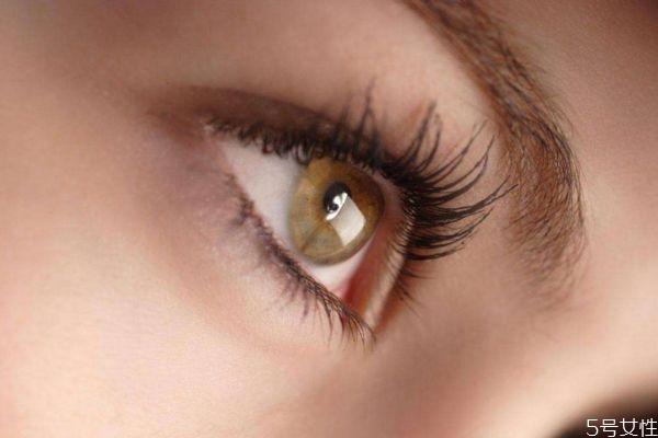 黑眼圈是怎么產生的呢 天生的黑眼圈是怎么造成的呢