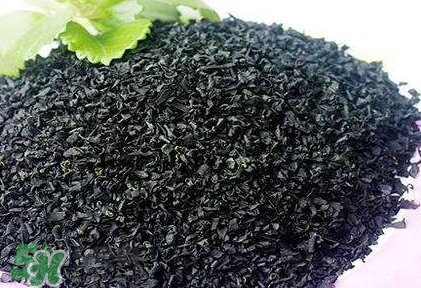 怎么辨別螺旋藻的真假？買螺旋藻怎么挑？