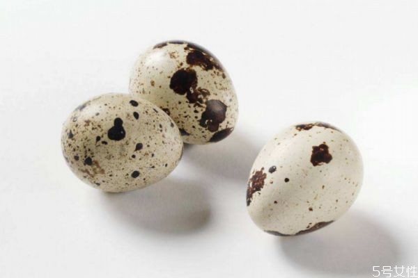 鵪鶉蛋的營養(yǎng)價值高嗎 吃鵪鶉蛋有什么好處呢 鵪鶉蛋的營養(yǎng)價值高嗎 吃鵪鶉蛋有什么好處呢