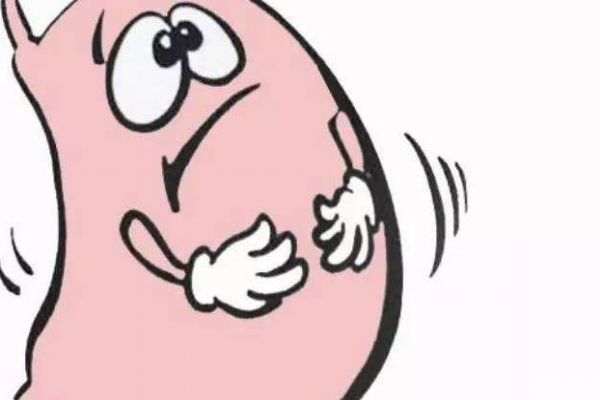 為什么會脹氣呢 造成脹氣的原因有什么呢 為什么會脹氣呢 造成脹氣的原因有什么呢