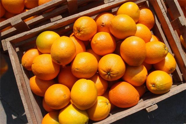 臍橙治咳嗽的做法 臍橙怎么做止咳化痰 臍橙治咳嗽的做法 臍橙怎么做止咳化痰