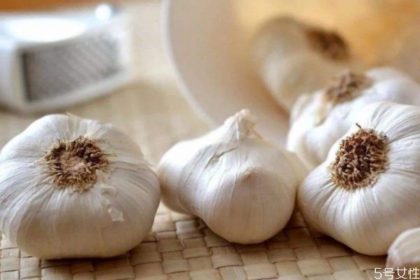 大蒜有什么營(yíng)養(yǎng)價(jià)值呢 吃大蒜有什么好處呢 大蒜有什么營(yíng)養(yǎng)價(jià)值呢 吃大蒜有什么好處呢