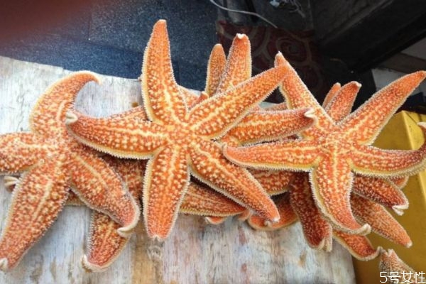 吃海星要注意什么呢 什么人不能吃海星呢 吃海星要注意什么呢 什么人不能吃海星呢