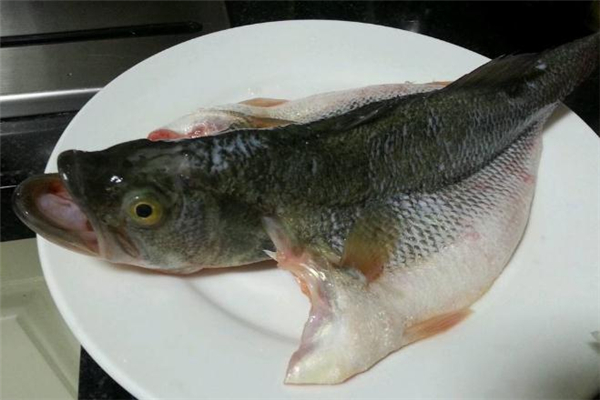 清蒸鱸魚是開水還是冷水 清蒸鱸魚要用大火嗎