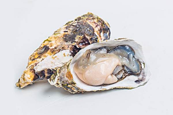 生蠔為什么帶殼蒸比較好 高壓鍋蒸生蠔需要撬開嗎 生蠔為什么帶殼蒸比較好 高壓鍋蒸生蠔需要撬開嗎