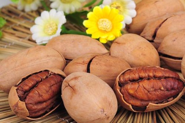 碧根果哪個(gè)形狀的最好 碧根果的熱量高嗎 碧根果哪個(gè)形狀的最好 碧根果的熱量高嗎