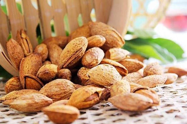 巴坦木吃什么顏色的好 巴坦木吃多了會(huì)中毒嗎