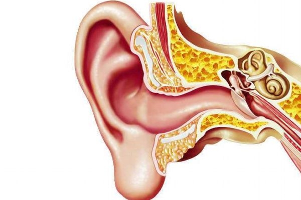 什么是耳中炎呢 耳中炎有什么癥狀呢 什么是耳中炎呢 耳中炎有什么癥狀呢