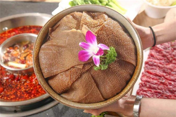 毛肚是什么動(dòng)物身上的 毛肚是牛的哪個(gè)部位 毛肚是什么動(dòng)物身上的 毛肚是牛的哪個(gè)部位