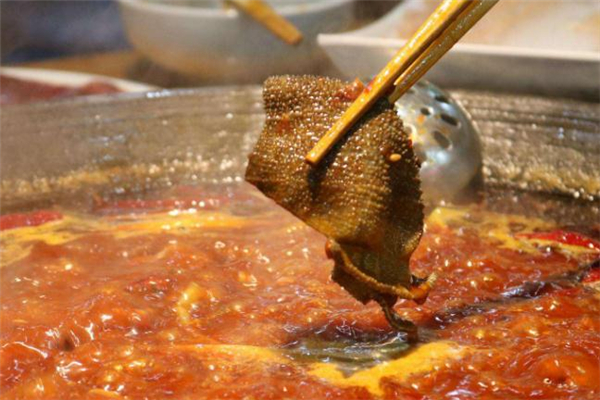 毛肚為什么有黑有白 黑毛肚和白毛肚的區(qū)別 毛肚為什么有黑有白 黑毛肚和白毛肚的區(qū)別