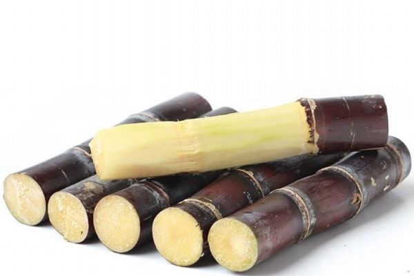 吃甘蔗會導(dǎo)致牙齒松動(dòng)嗎 吃甘蔗應(yīng)該注意什么呢 吃甘蔗會導(dǎo)致牙齒松動(dòng)嗎 吃甘蔗應(yīng)該注意什么呢