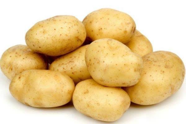 放冰箱凍過的土豆還能吃嗎 放冰箱凍過的土豆怎么做好吃 放冰箱凍過的土豆還能吃嗎 放冰箱凍過的土豆怎么做好吃