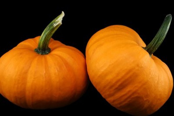 糖尿病人可以吃南瓜嗎 南瓜吃多了會脹氣嗎 糖尿病人可以吃南瓜嗎 南瓜吃多了會脹氣嗎